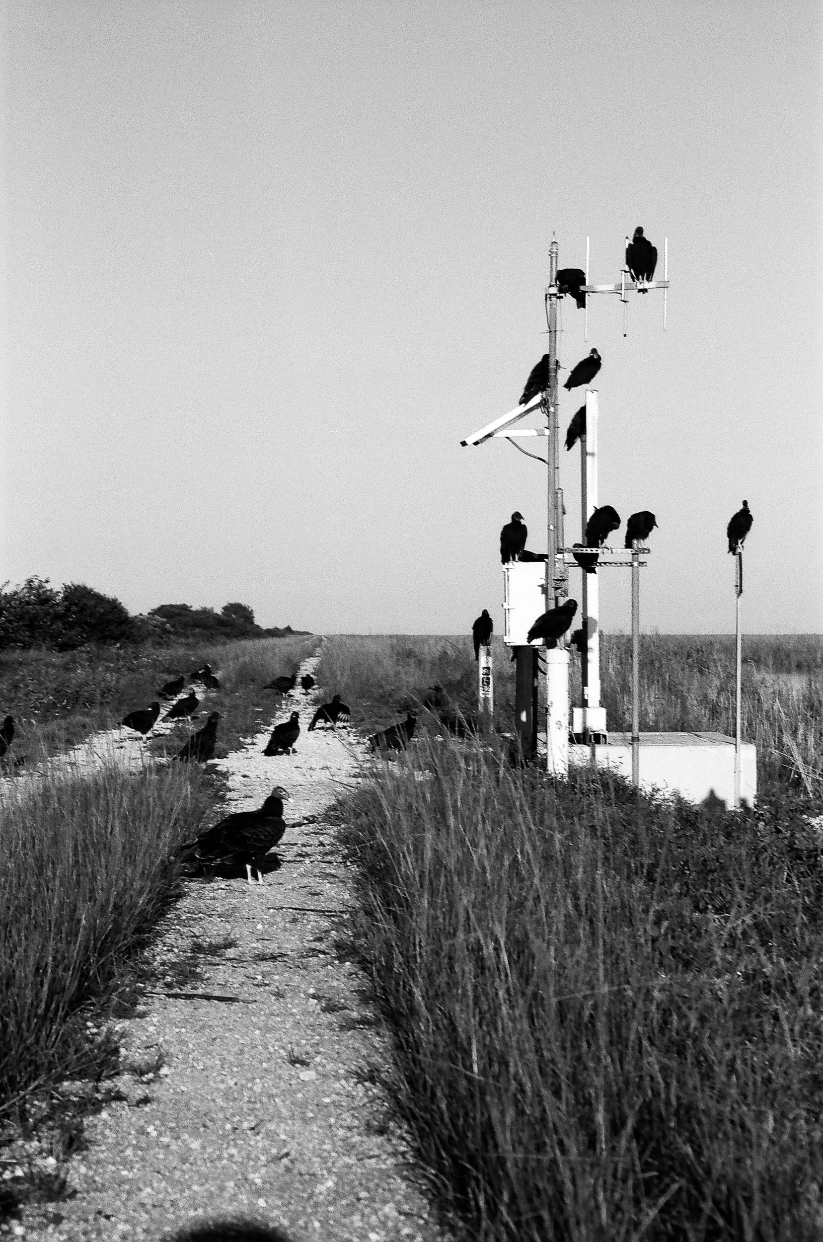  Pentax Zoom90-WR and FujiFilm neopan ACROS 100II 