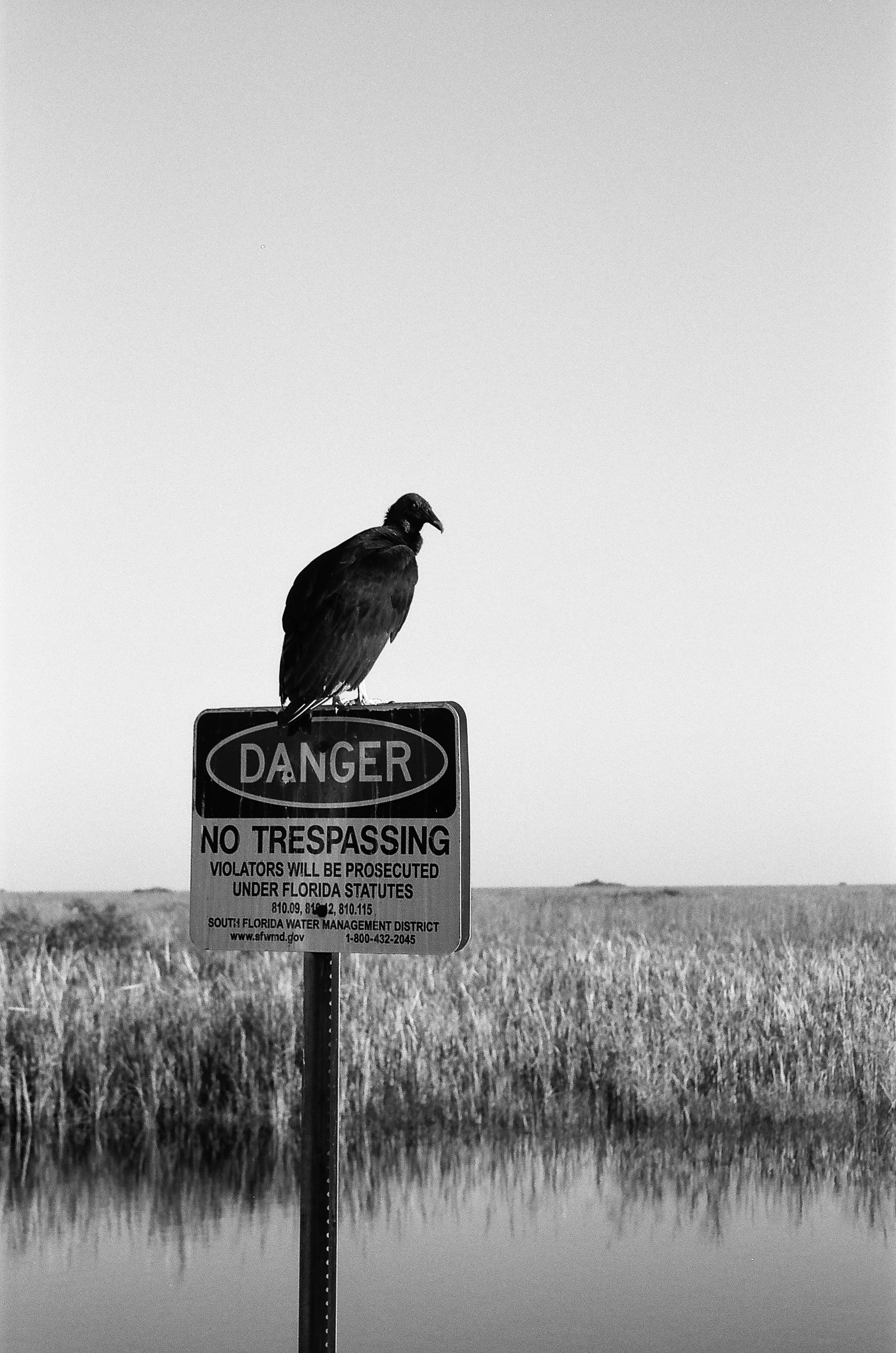  Pentax Zoom90-WR and FujiFilm neopan ACROS 100II 