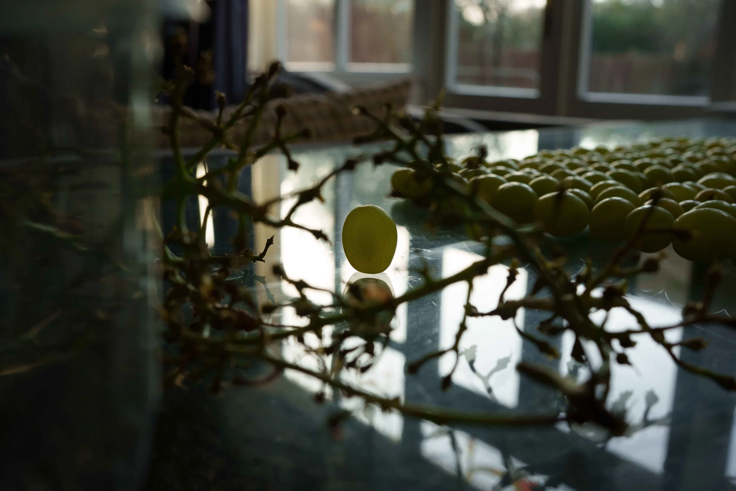 A single green grape standing upright among a cluster of grapes and intertwined branches on a dark reflective surface in front of a window.