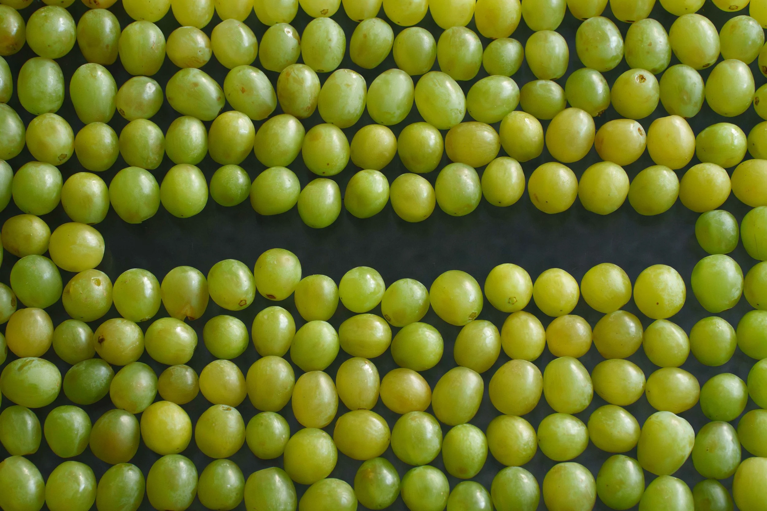 Rows of green grapes on a dark surface.