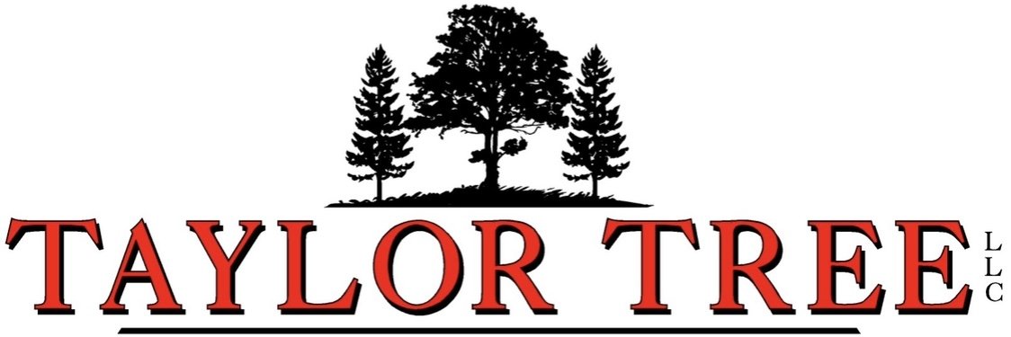 Taylor Tree Service