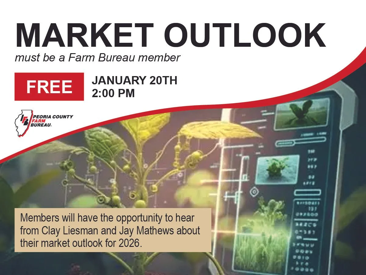 Market Outlook 2026.jpg