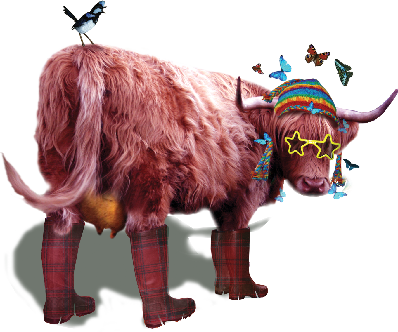 Belladrum Tartan Heart Festival festival photo