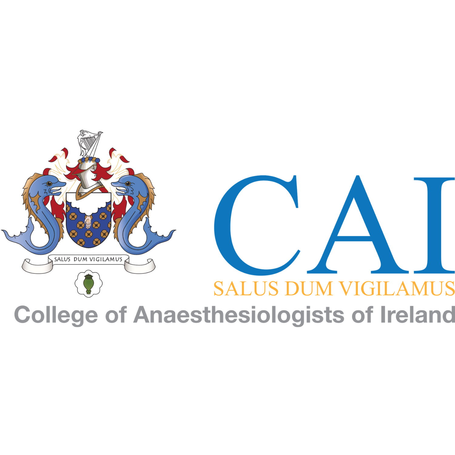 College of Anaesthesiolgists of Ireland Logo