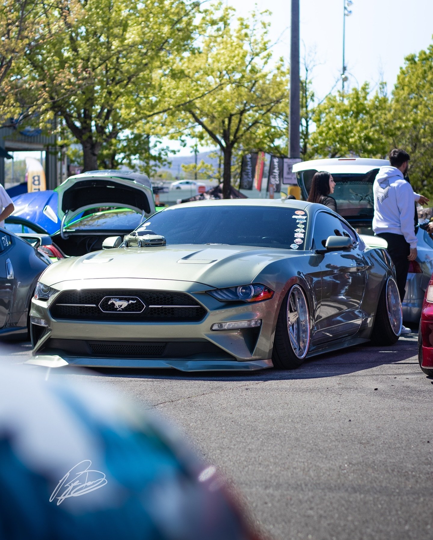 That millennium jade is clean 😪🤌🏻

@shecoboost @riversidechattanooga 

#mustang #ford #car #carporn #photographer #photooftheday #chattanooga #chattanoogaphotographer #clean