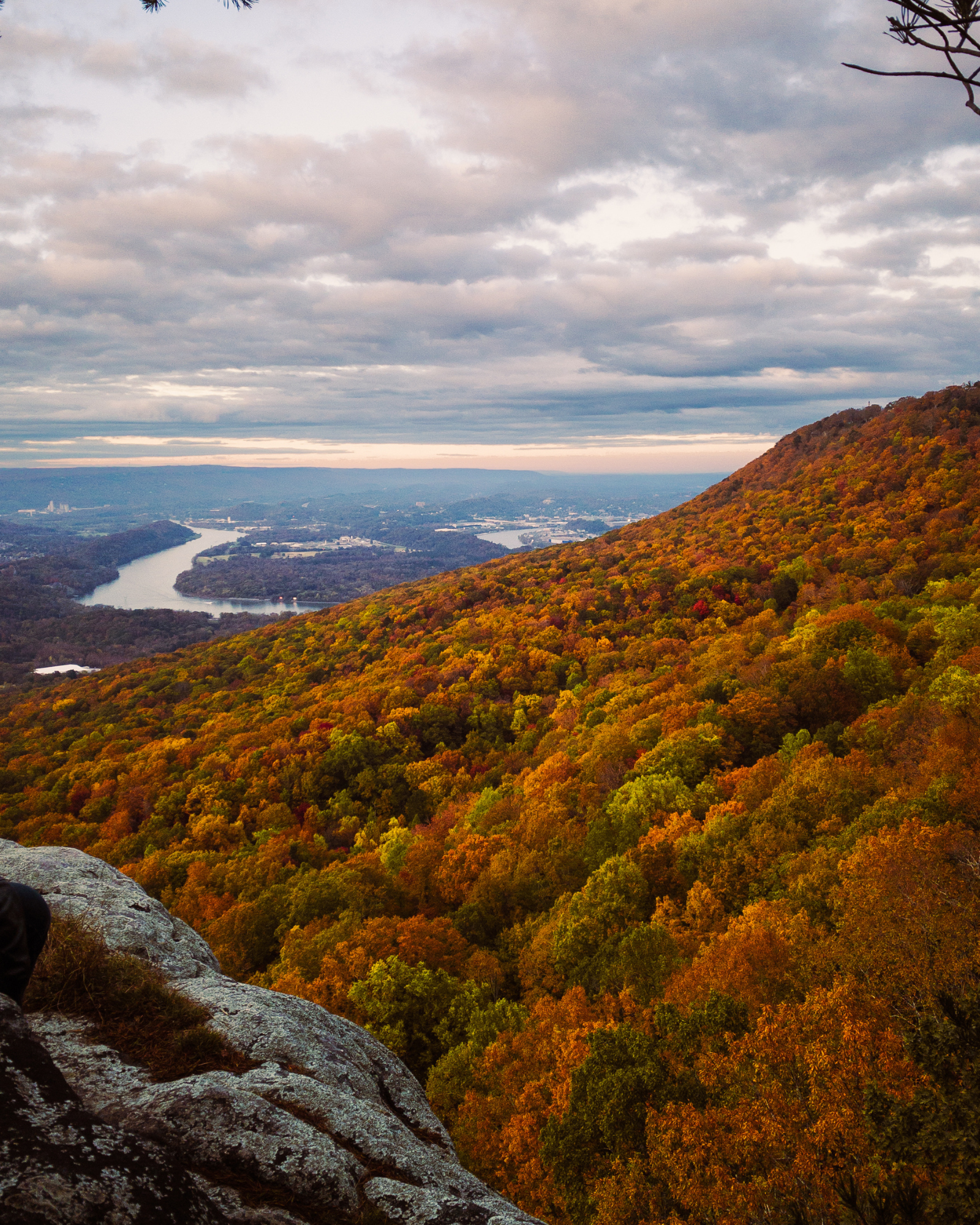 View of the Valley 8x10" Print