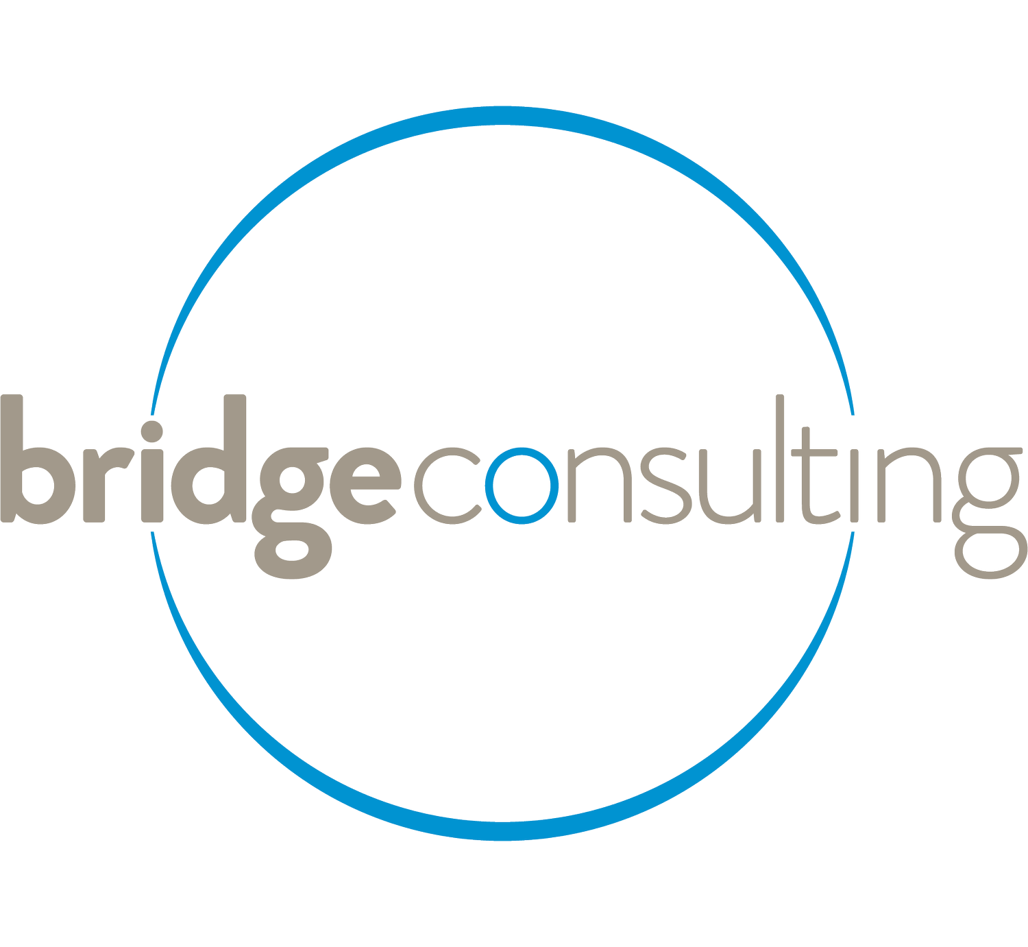 Bridge Consulting Colorado