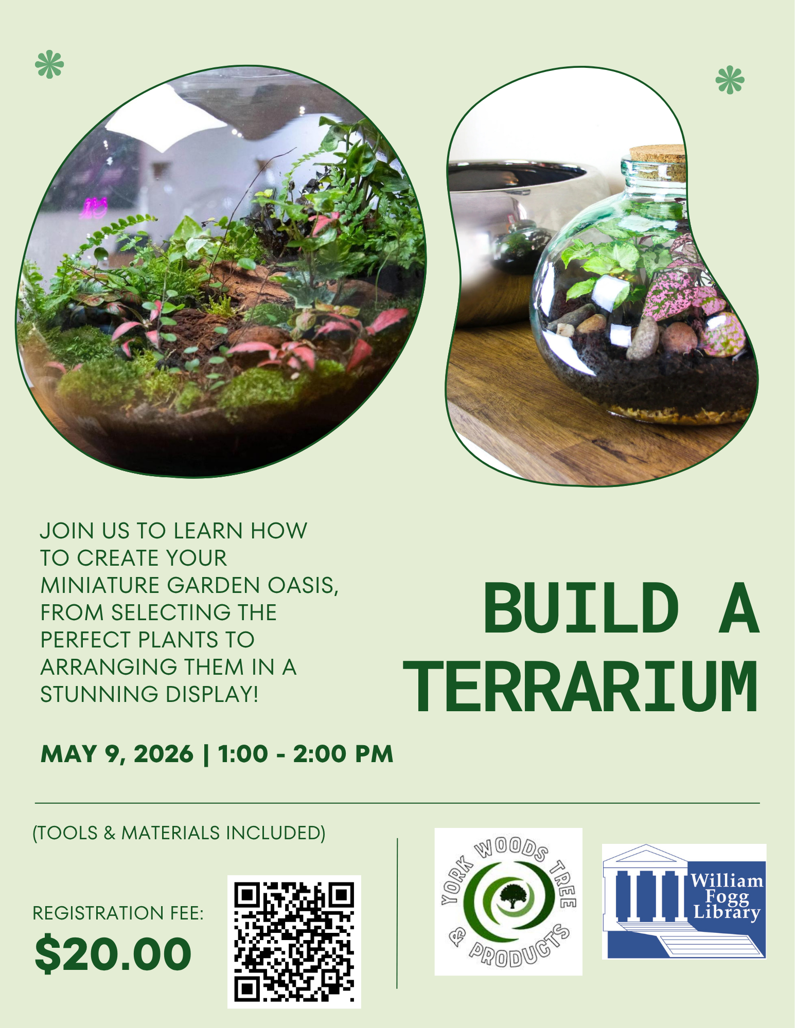 Build a Terrarium