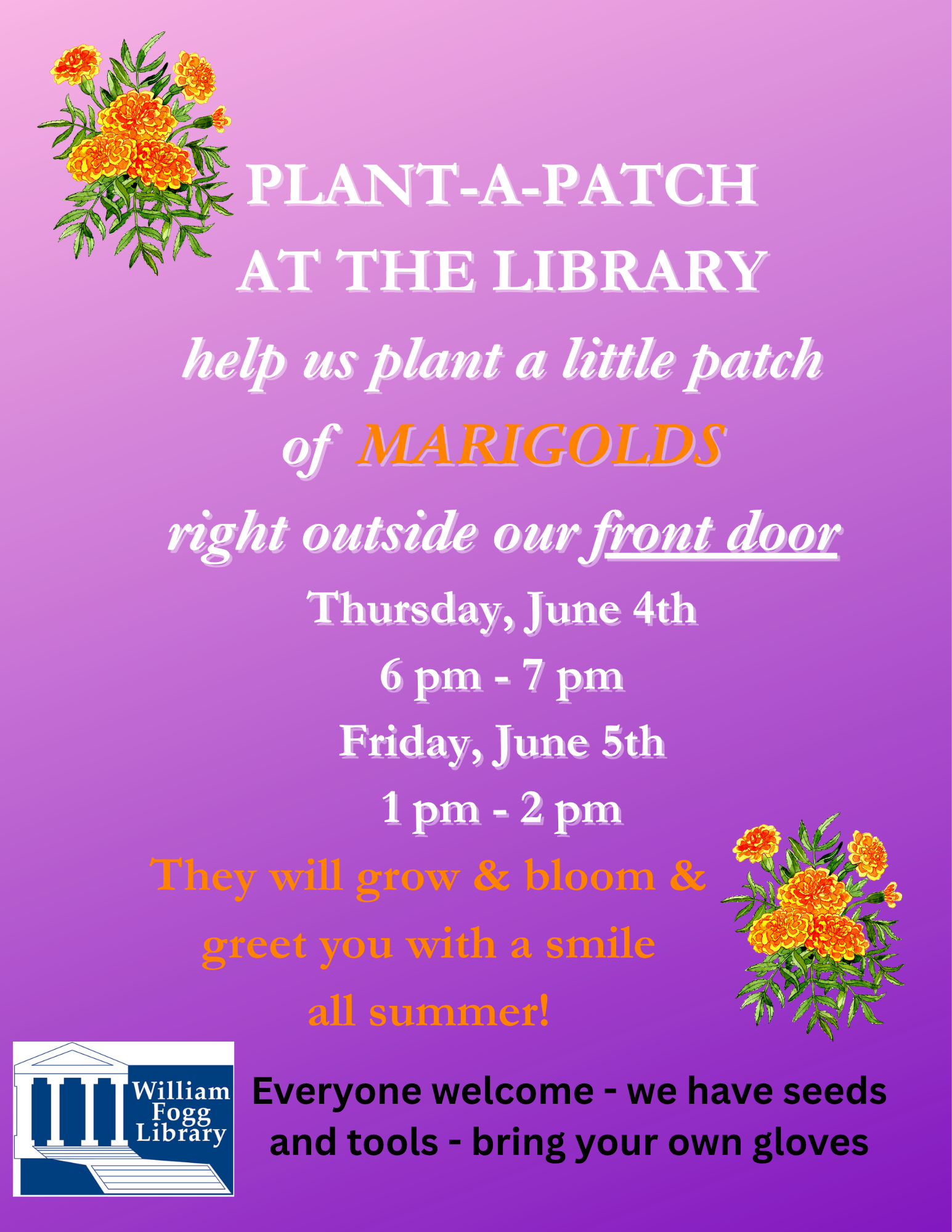Plant a Patch of Marigolds
