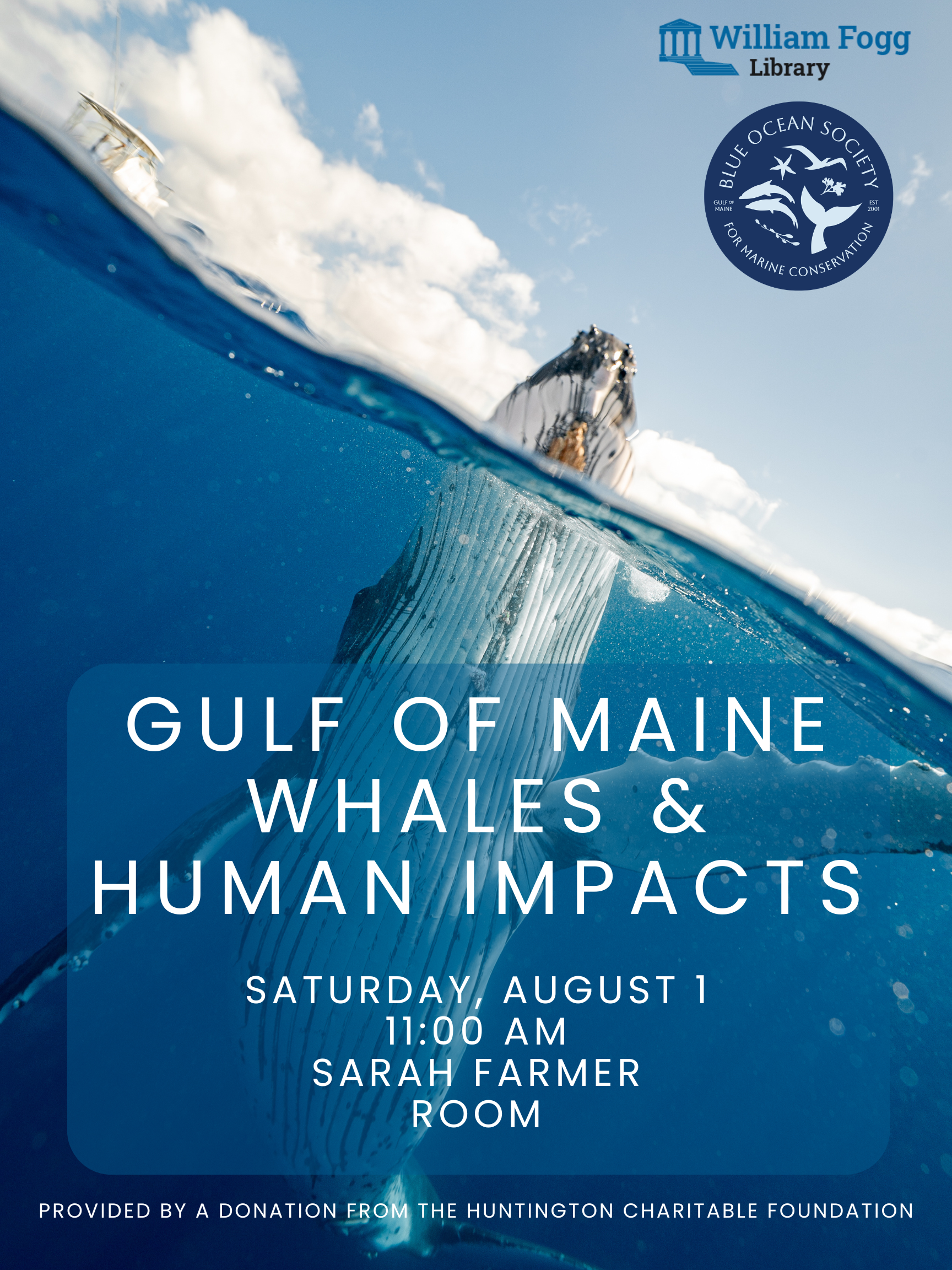 Gulf of Maine Whales