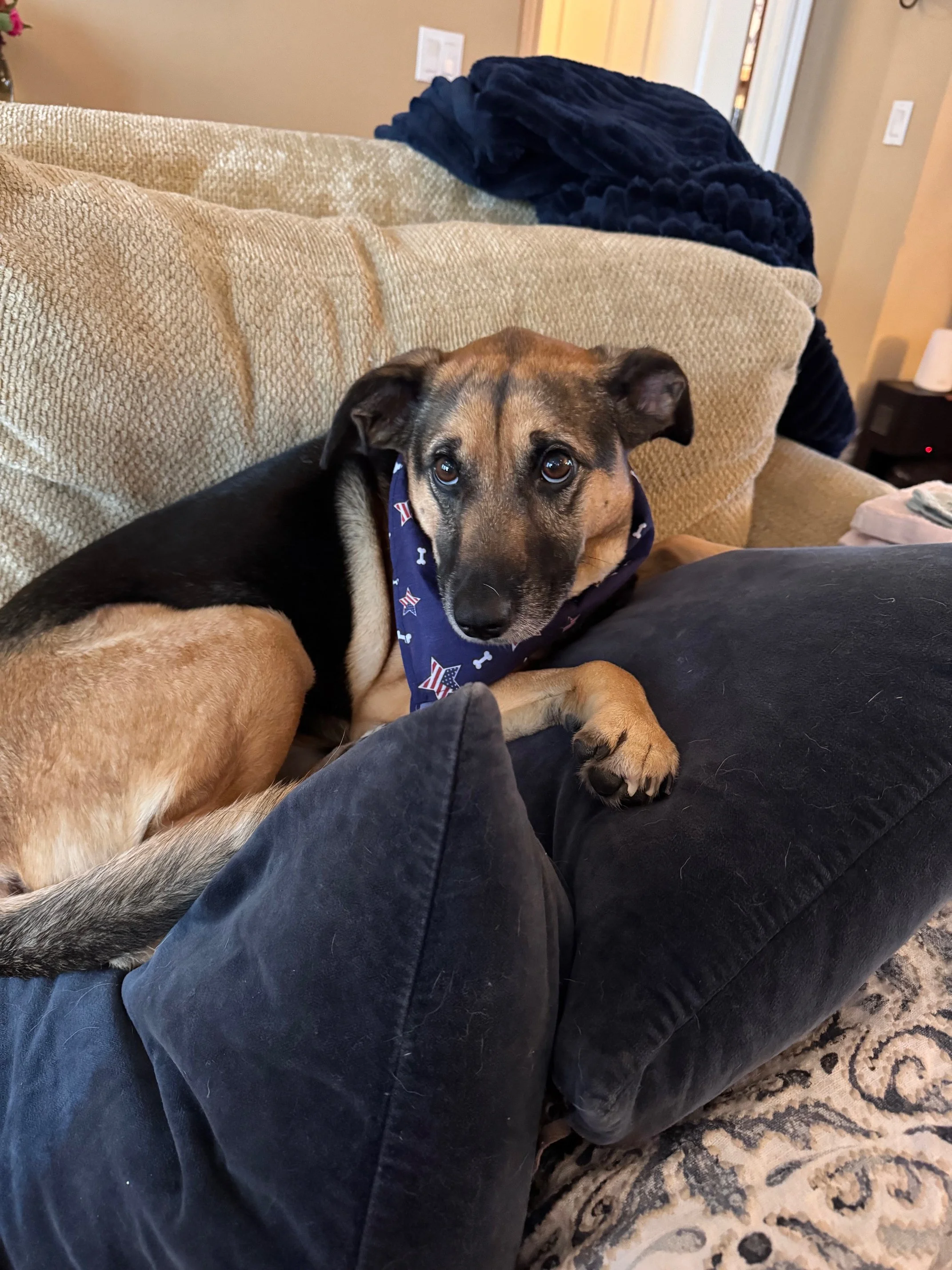 Hickory loves to chill