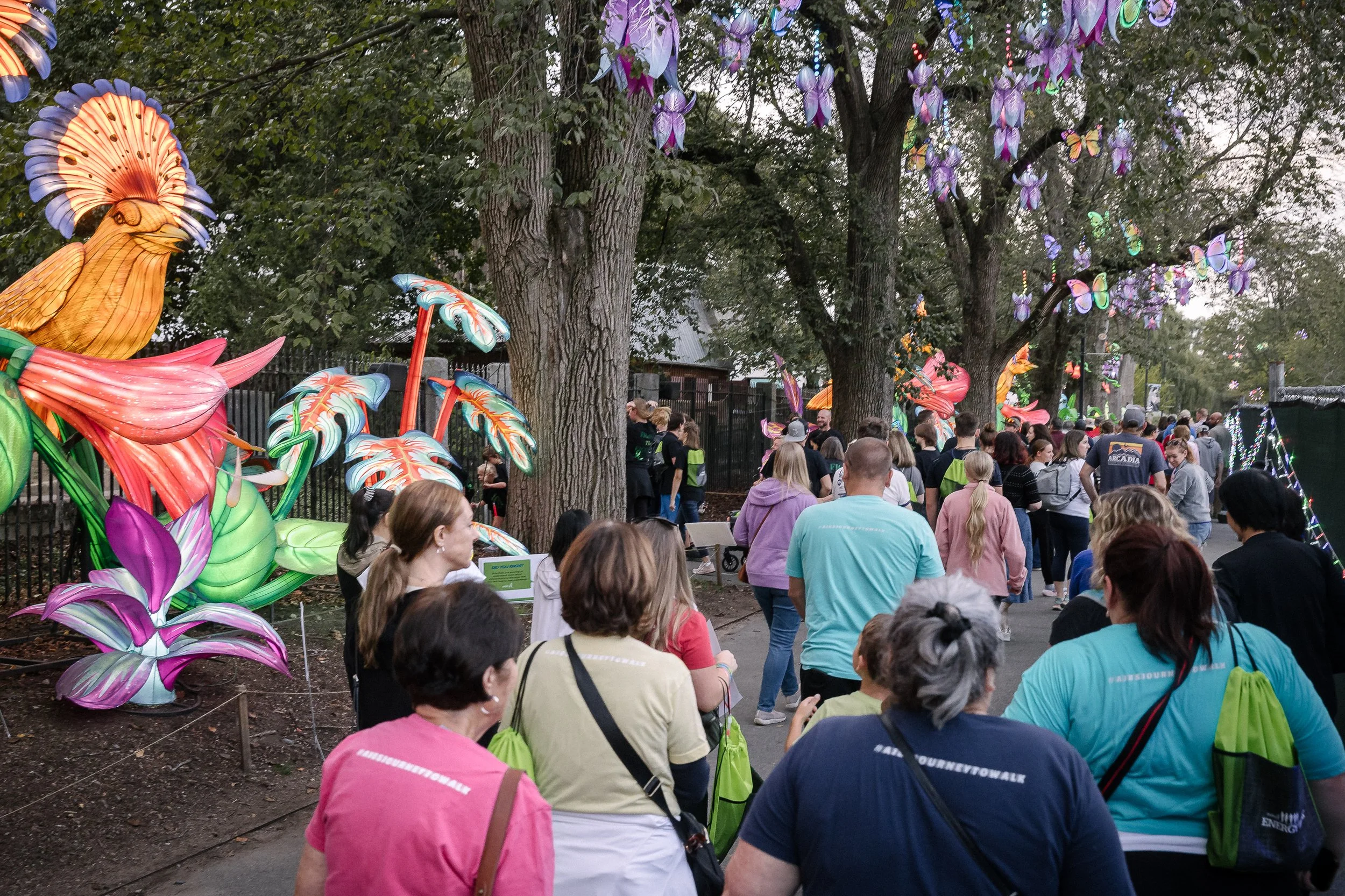 MitoAction Energy Walk 2025, Franklin Park Zoo, Boston, Massachusetts Photographed by: L.B. Read Photography