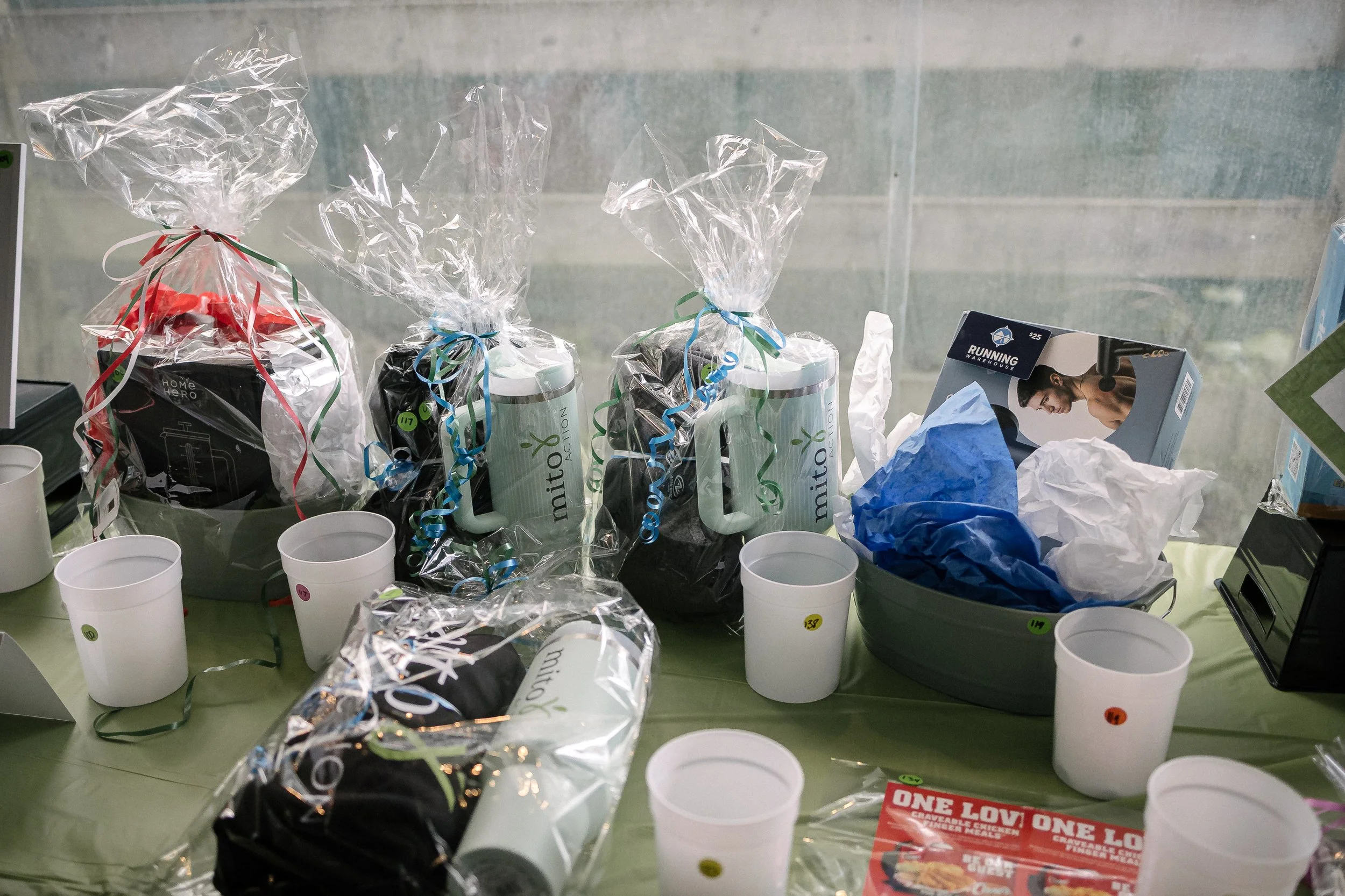 MitoAction Energy Walk 2025, Franklin Park Zoo, Boston Massachusetts Photographed by: L.B. Read Photography