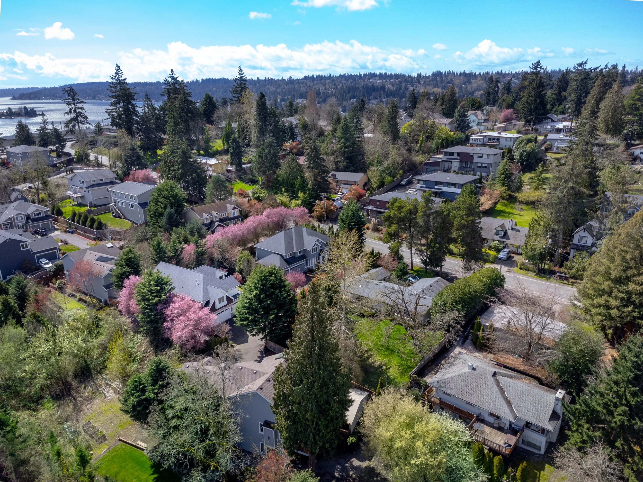 3108 113th ave se-4-1.jpg