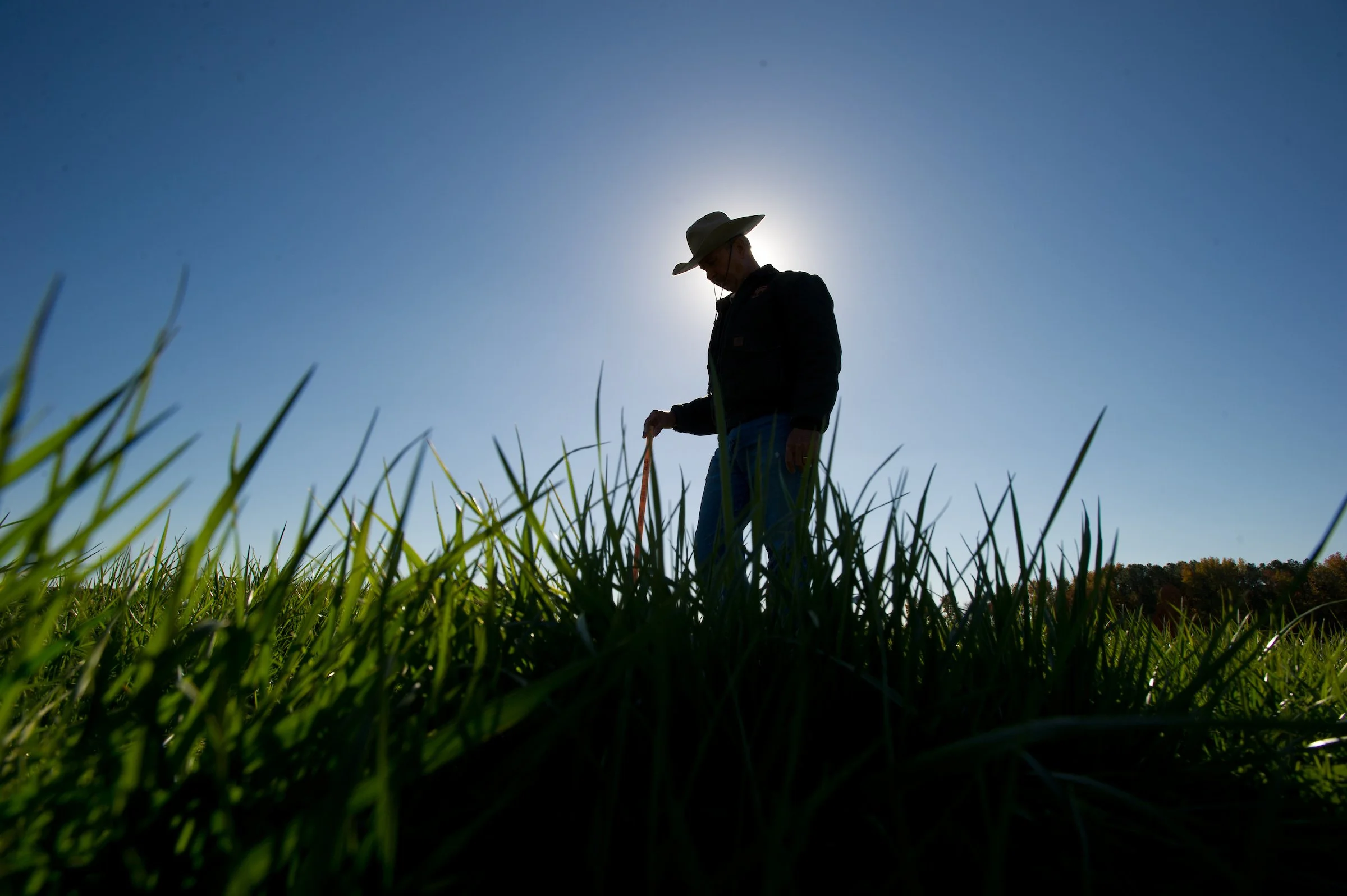 Lone farmer with sun behind him in tall grass
