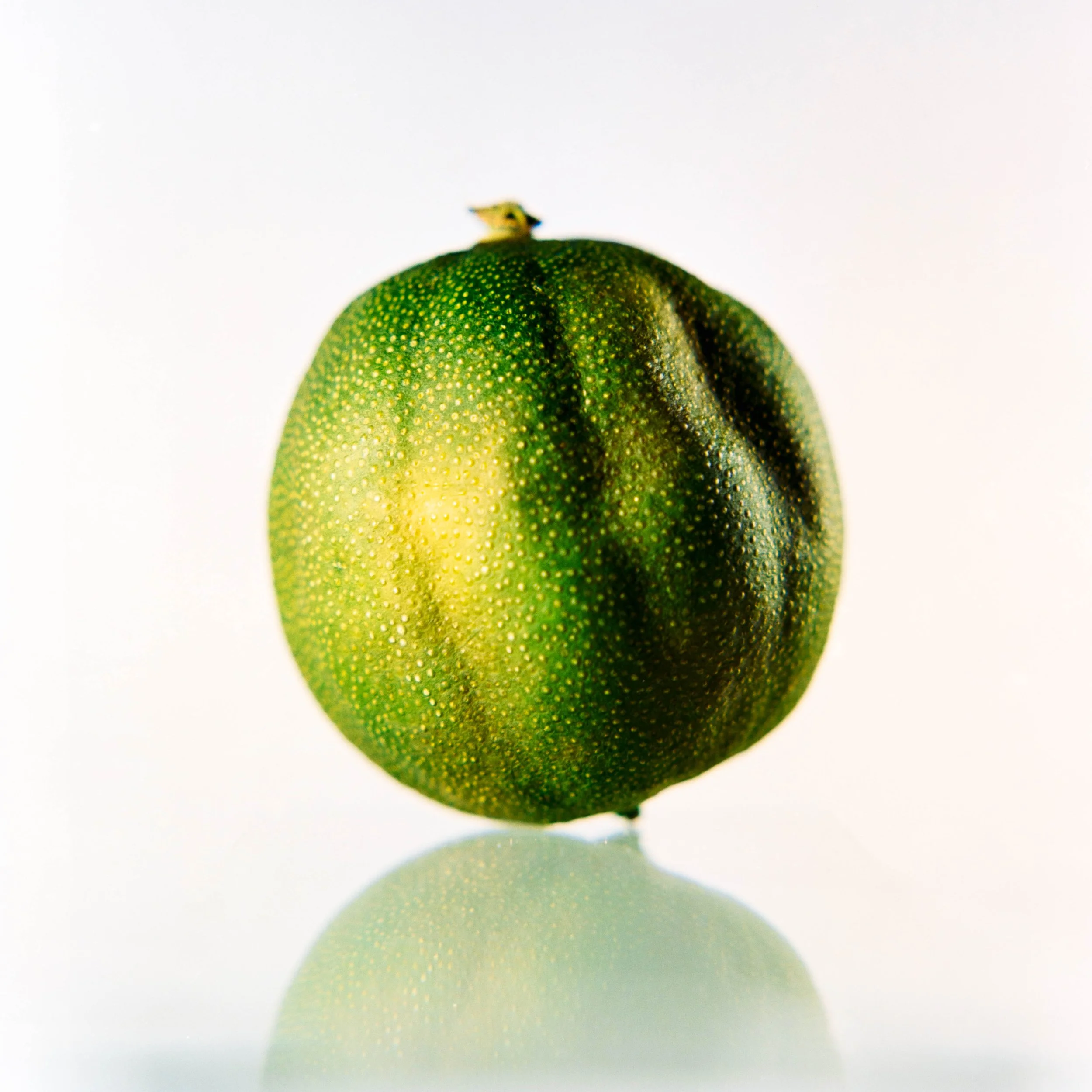 Principles of macro photography