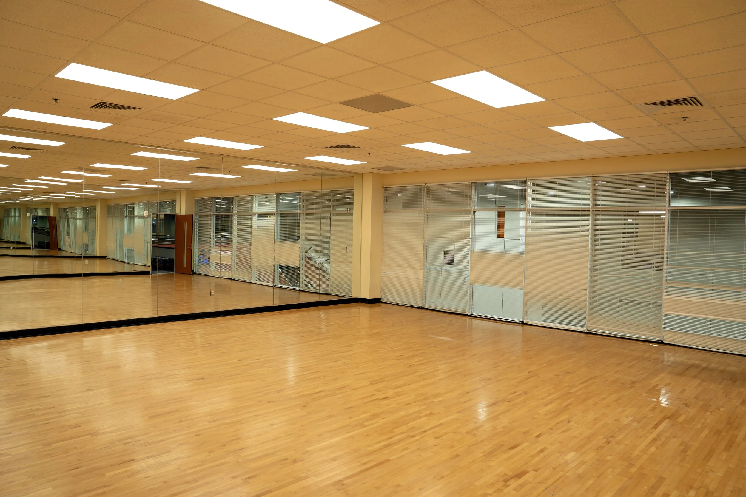 Sheila Milner Dance Group