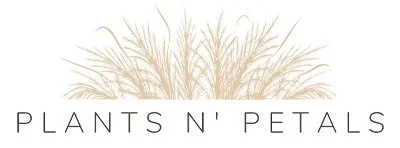 Logo with stylized plant and the text 'Plants N’ Petals'.
