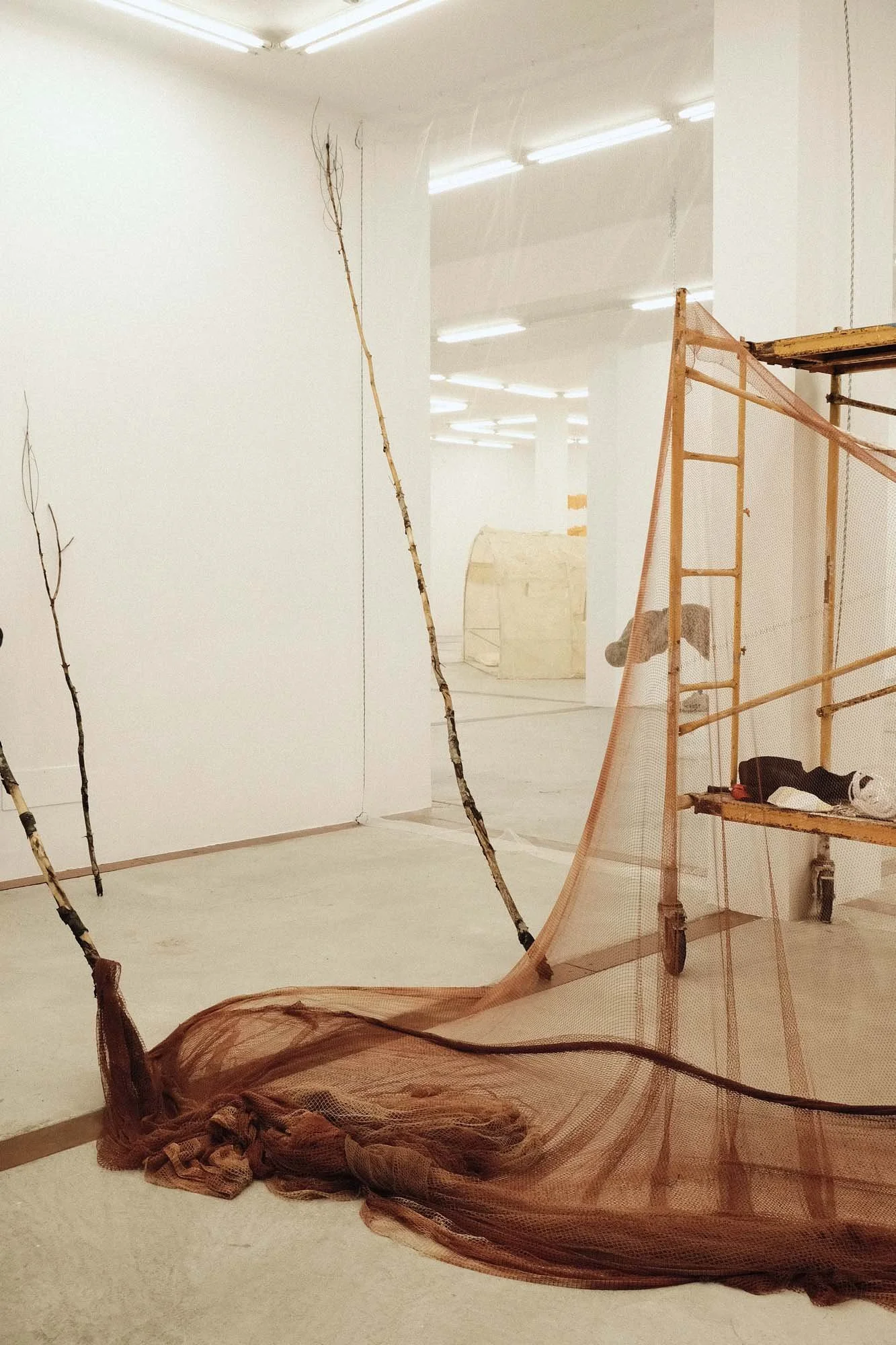 Make Room for Growth