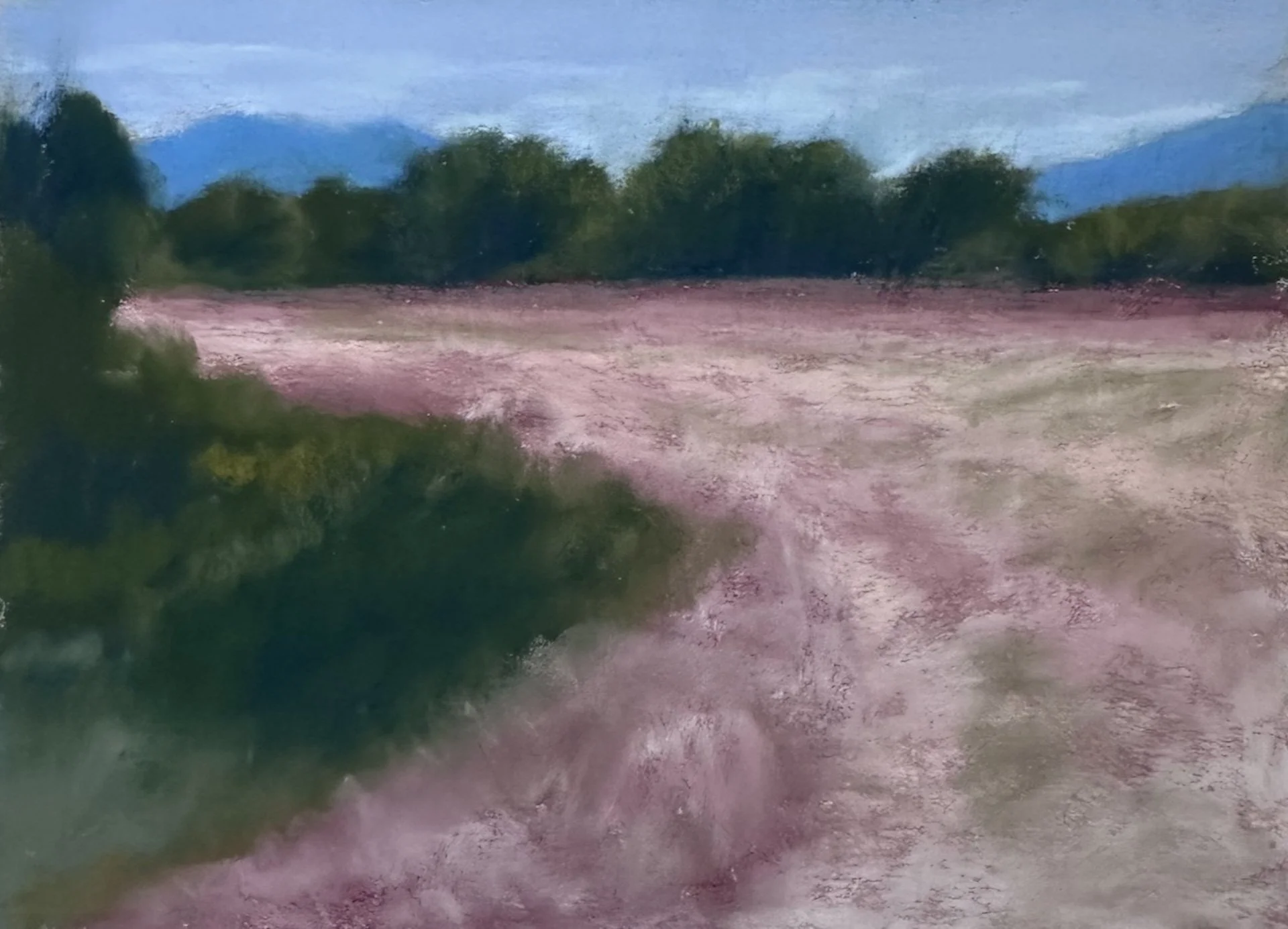 Field of pink