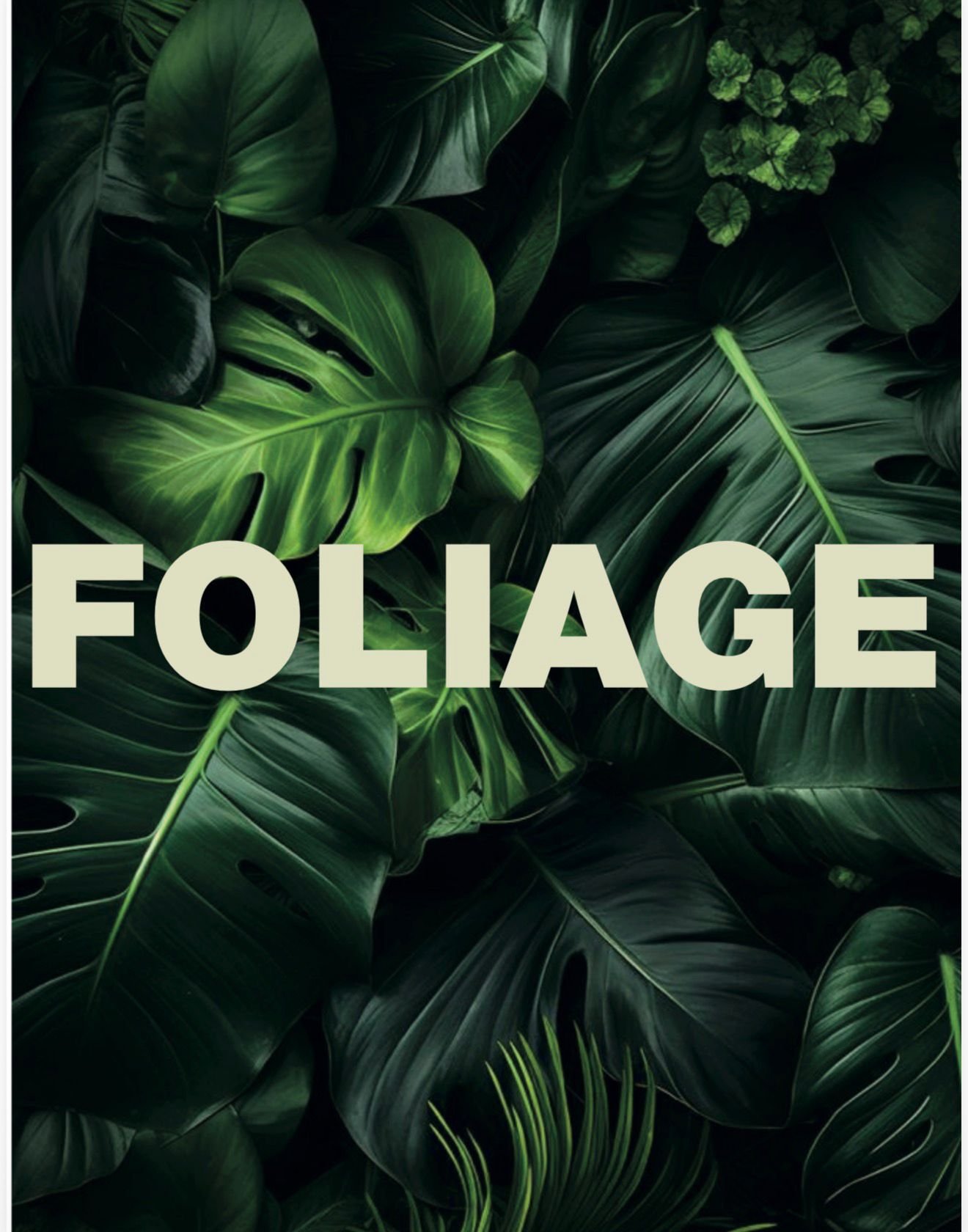Close-up of lush green tropical foliage with the word 'FOLIAGE' overlaid in large, light-colored text.