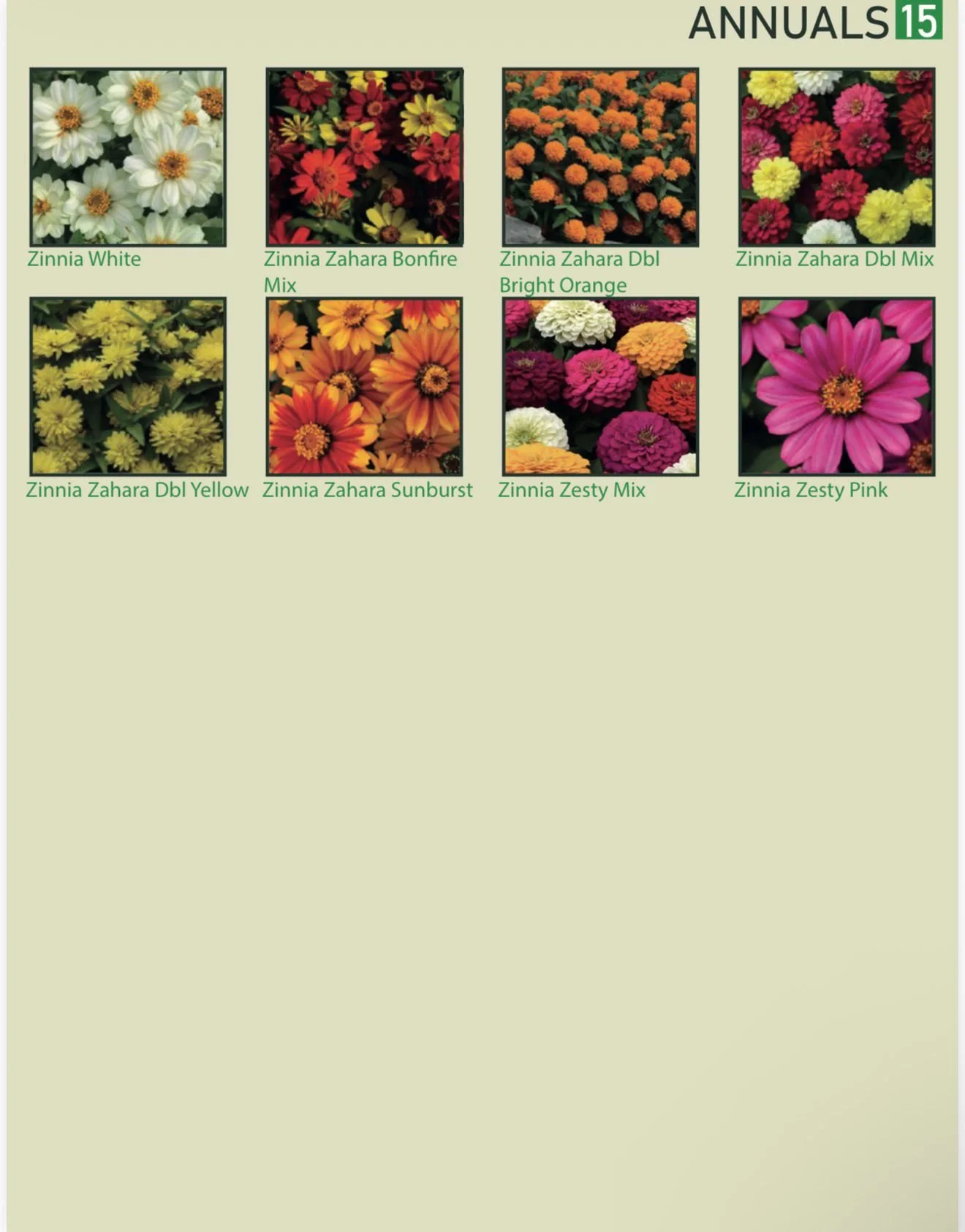 A catalog page of various Zinnia flower varieties including White, Bonfire Mix, Bright Orange, Dbl Yellow, Sunburst, Zesty Mix, and Pink, under the section labeled 'Annuals 15'.