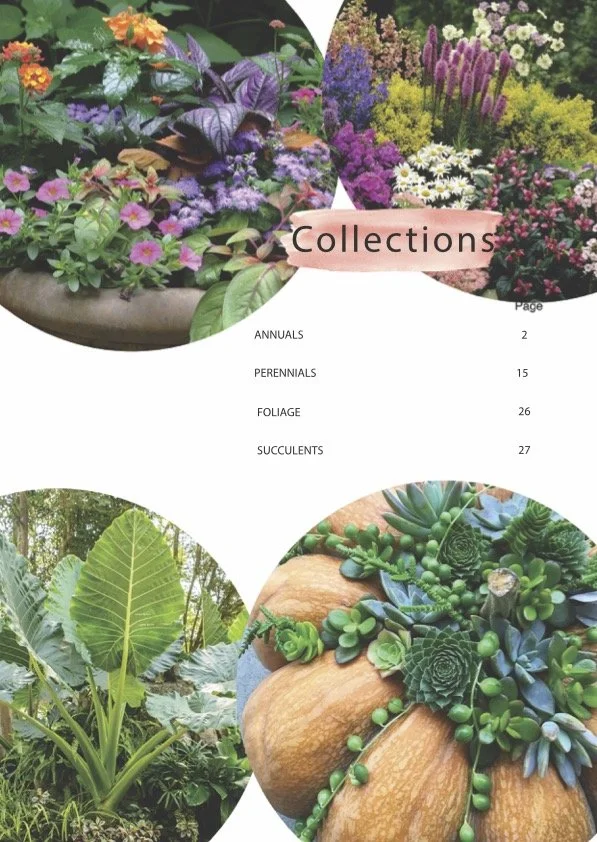 Gallery 3 — Rolke Greenhouses