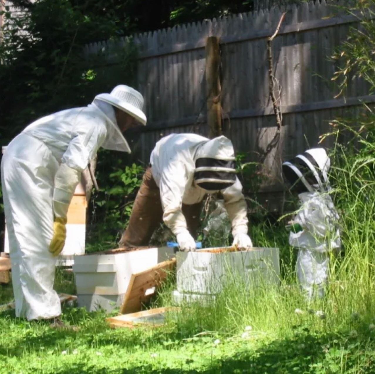 Three generations of the Colon family are on board to make this small apiary on Martha&rsquo;s Vineyard thrive.
@islandbeecompanymv hives are scattered about the island farms in all 6 towns. Each jar of honey is labeled from the specific town that it