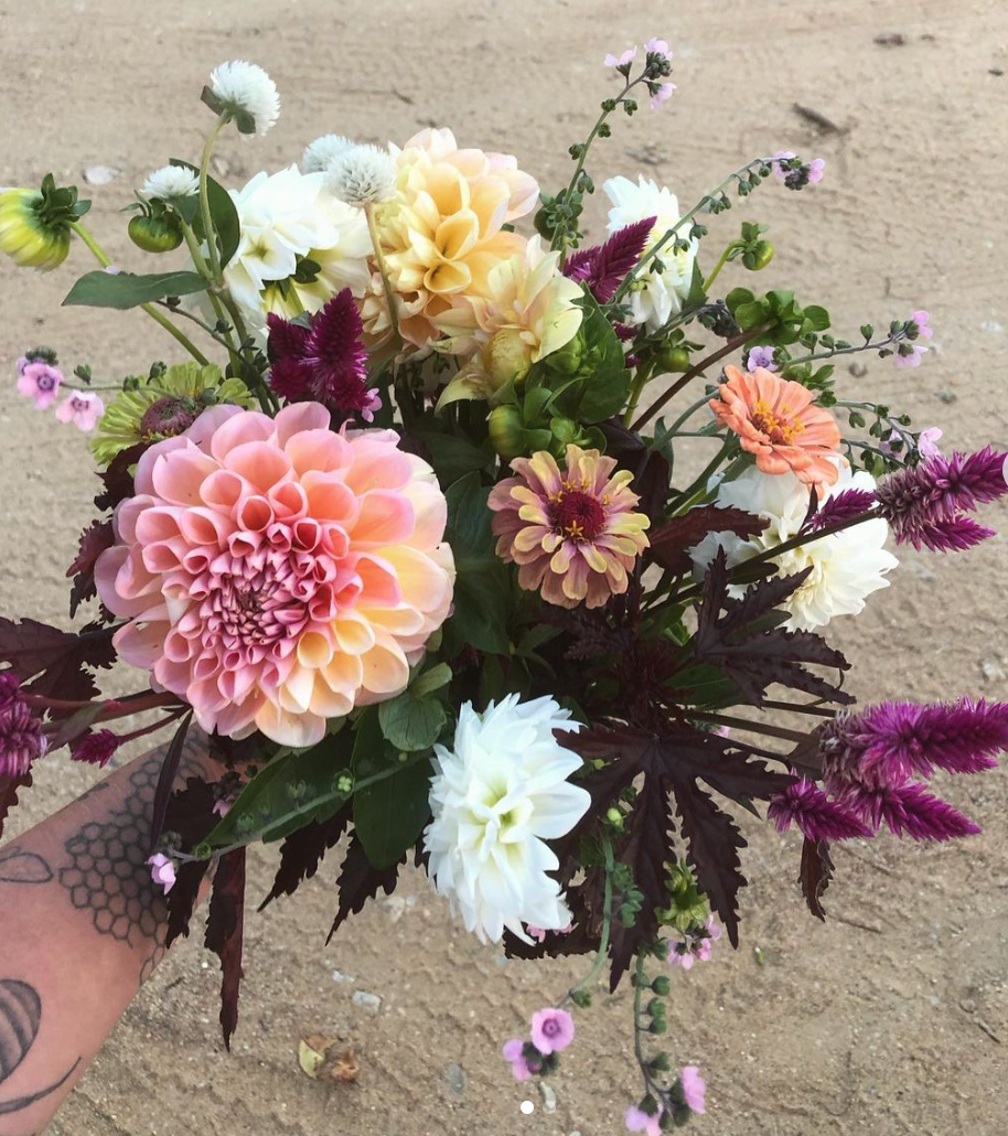 Screen Shot 2023-05-20 at 2.11.57 PM.png