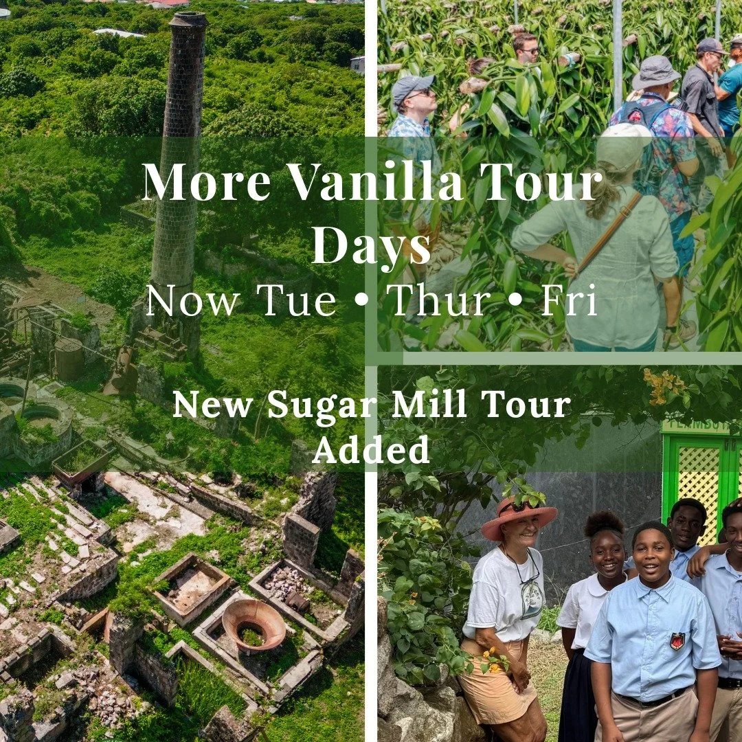 We&rsquo;re delighted to announce that starting 1st December, we are adding extra tour days!
📅 Vanilla Tours will now run on:
Tuesdays, Wednesdays and Thursdays
⏰ 10:00 AM &ndash; 12:00 PM
And there&rsquo;s more&hellip;
The Hamilton Estate Sugar Mil