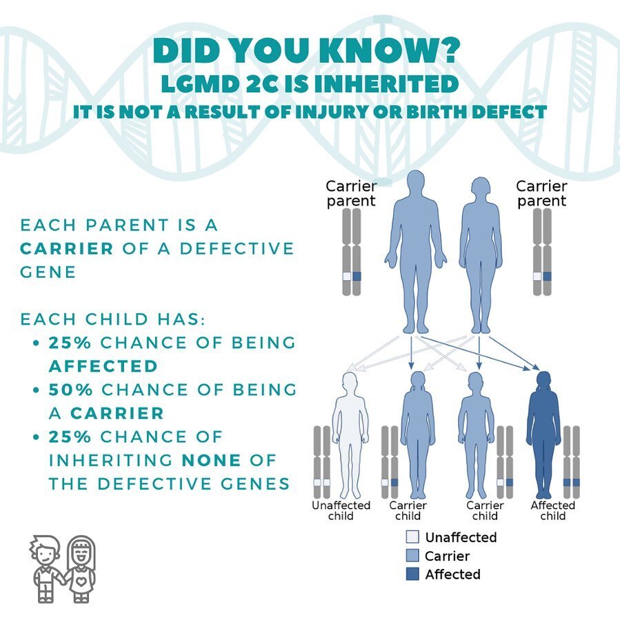 HOW? 
How did we get a rare neuromuscular genetic disease with NO family history, and seemingly &ldquo;healthy&rdquo; parents? 

🧬 LGMD 2C is inherited in a recessive manner - in which a copy of a defective gene is passed down from each parent - res