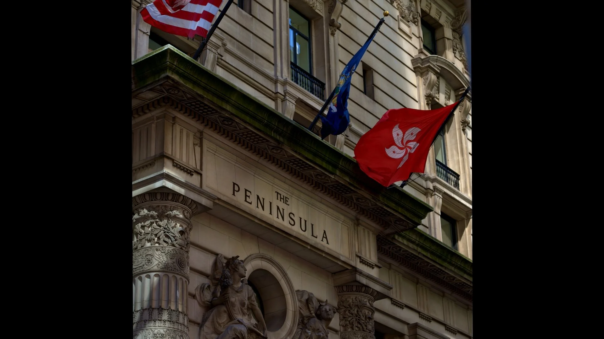 The Penisual_1.19.1.jpg