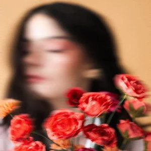 Maddi Sullivan: All Good Things