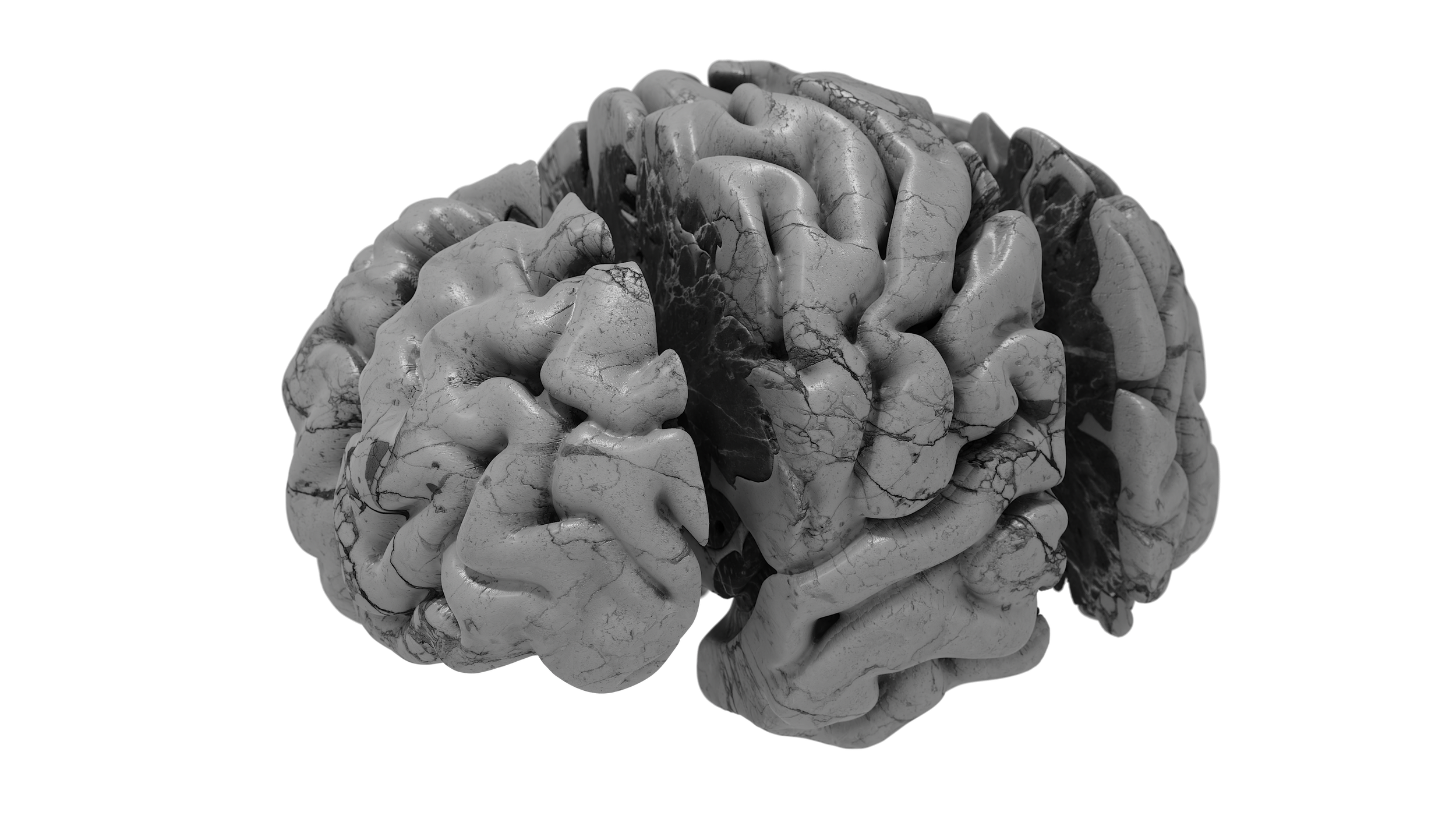 BRAIN Marble Split.png
