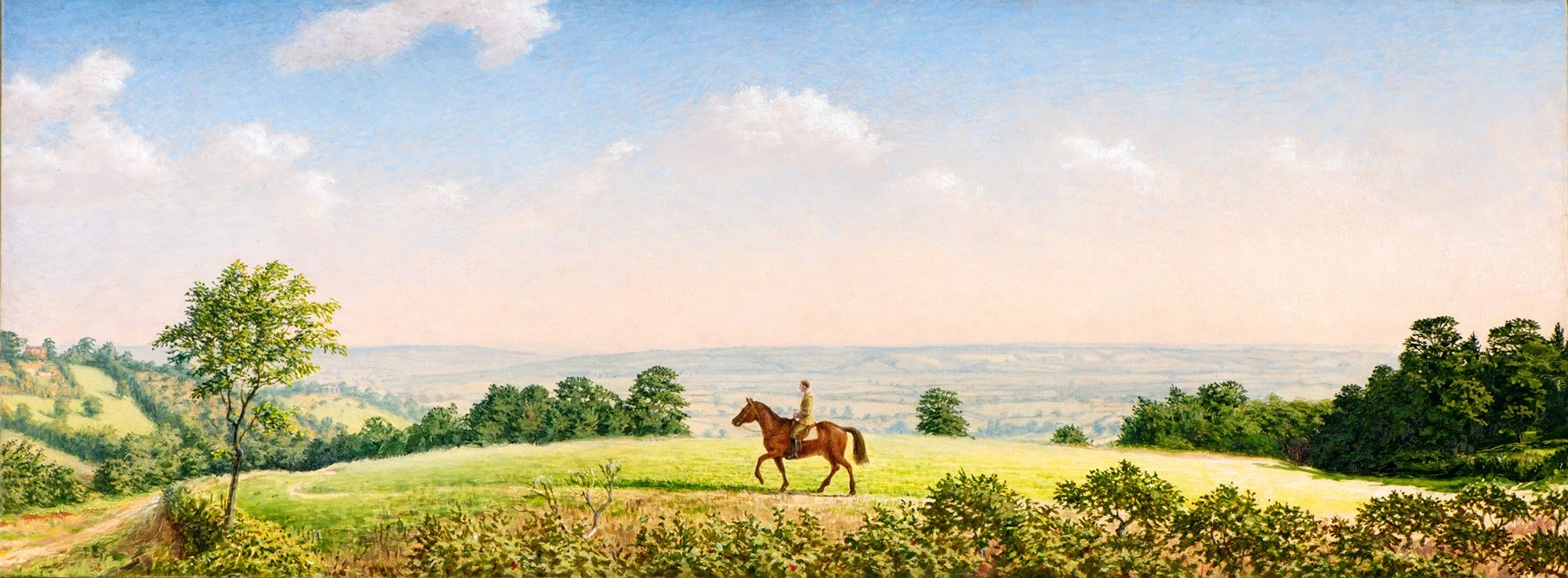 High Weald, 2007, oil on canvas, 16 x 42