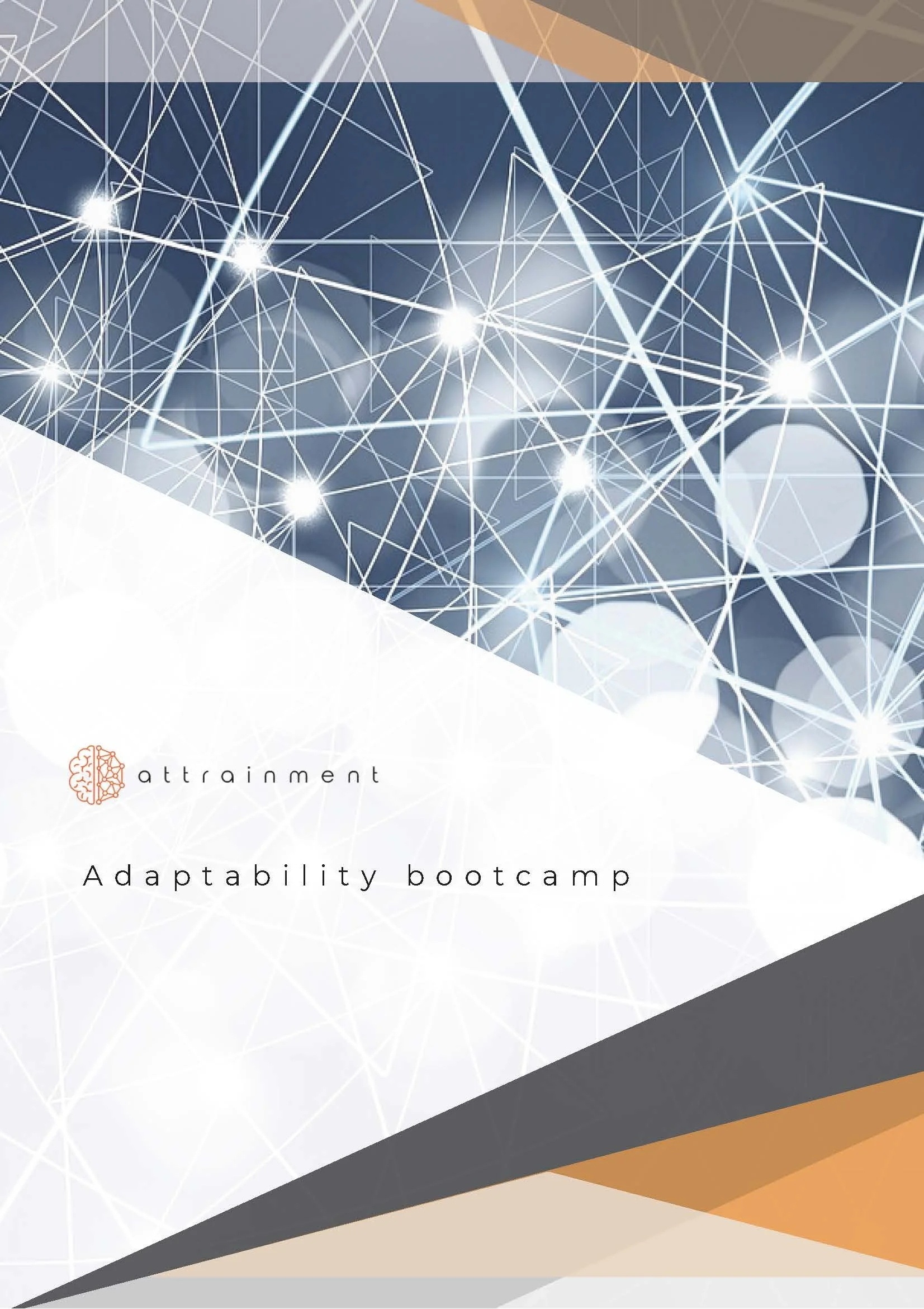 AI Adaptability Bootcamp