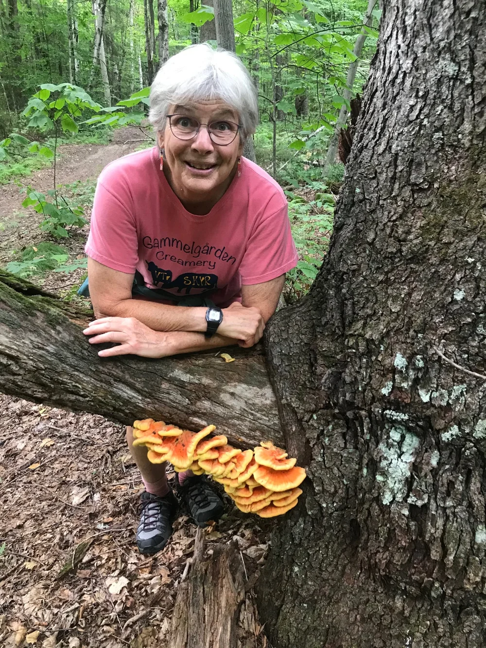 Board of Trustees — Northern Rivers Land Trust