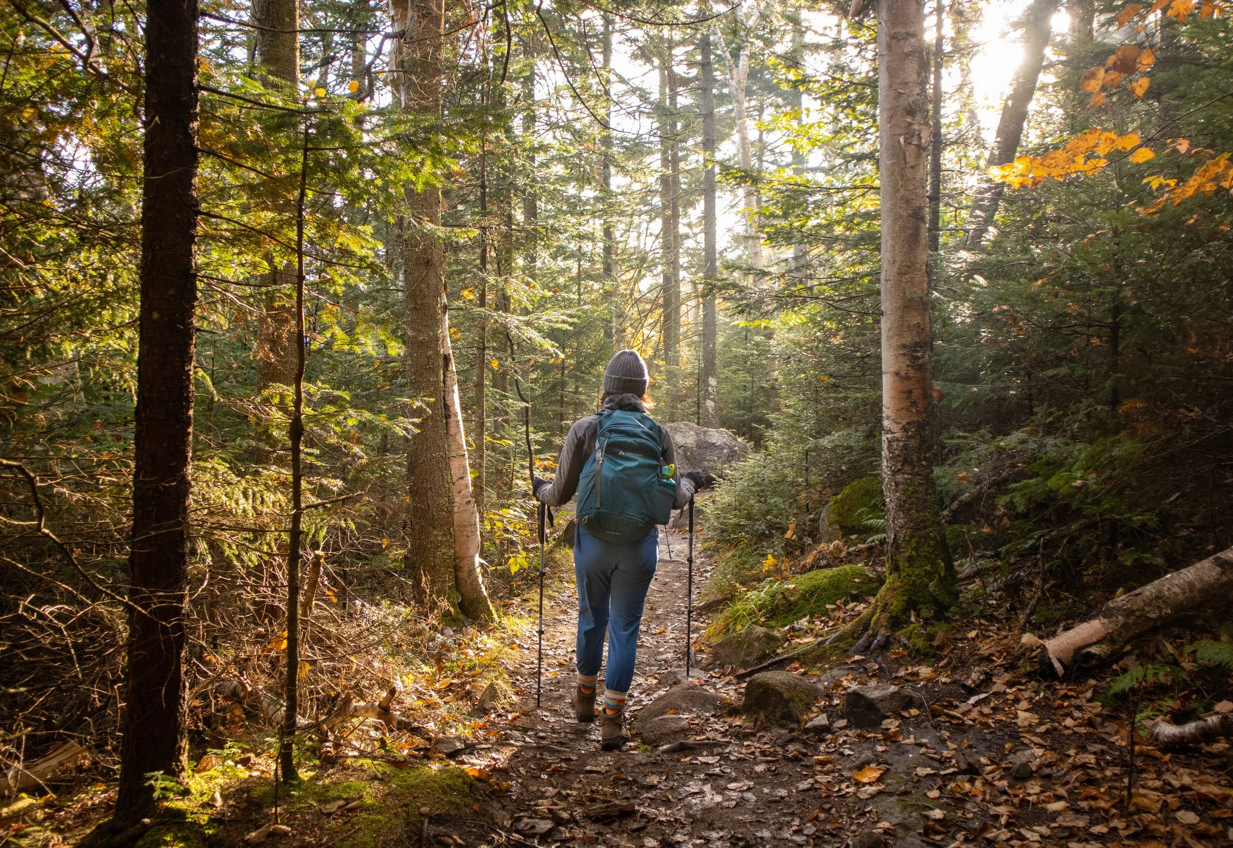 About NRLT — Northern Rivers Land Trust