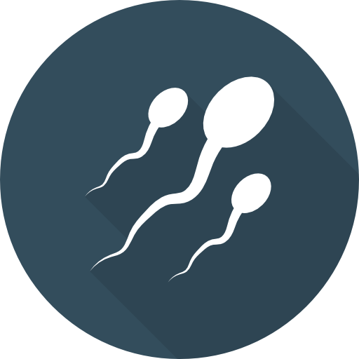 Cracking The Role Off Male Hormones