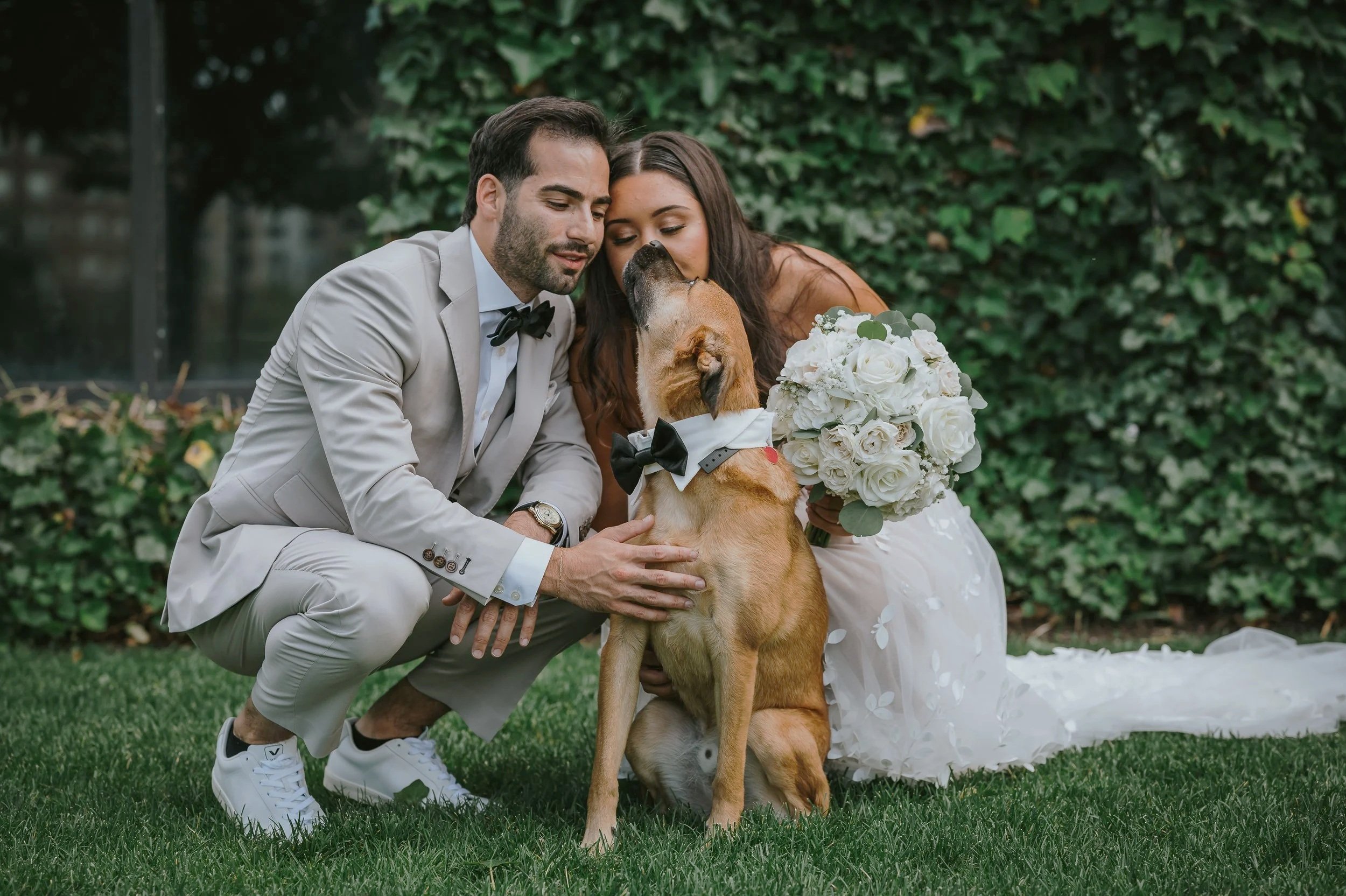 A dog dressed in a bow tie sitting between a wedding couple, who are petting and kissing the dog, at a wedding in a garden with green bushes in the background.