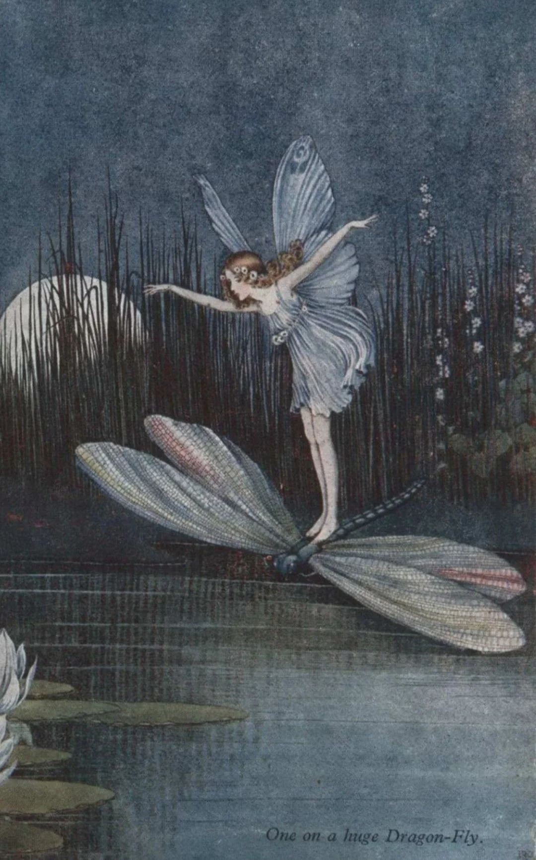 C9 - The Night Fairy.jpg