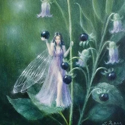 C10 - The Berries Fairy.jpg