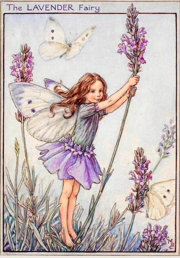 C5 - The Lavender Fairy.jpg