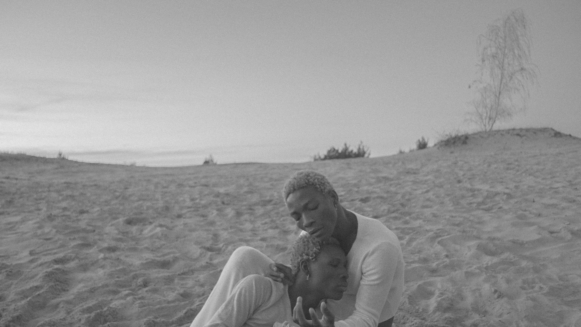 Mogli x Ebinum Brothers - Animal / music video