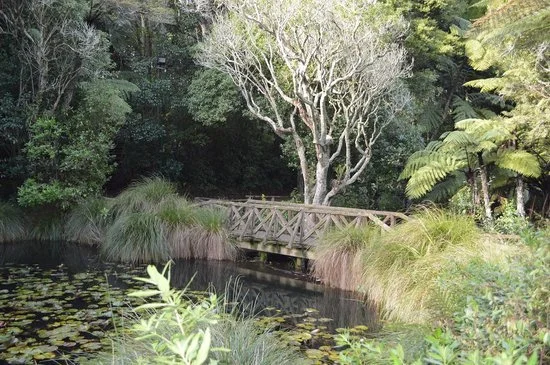 naumai-park.jpg