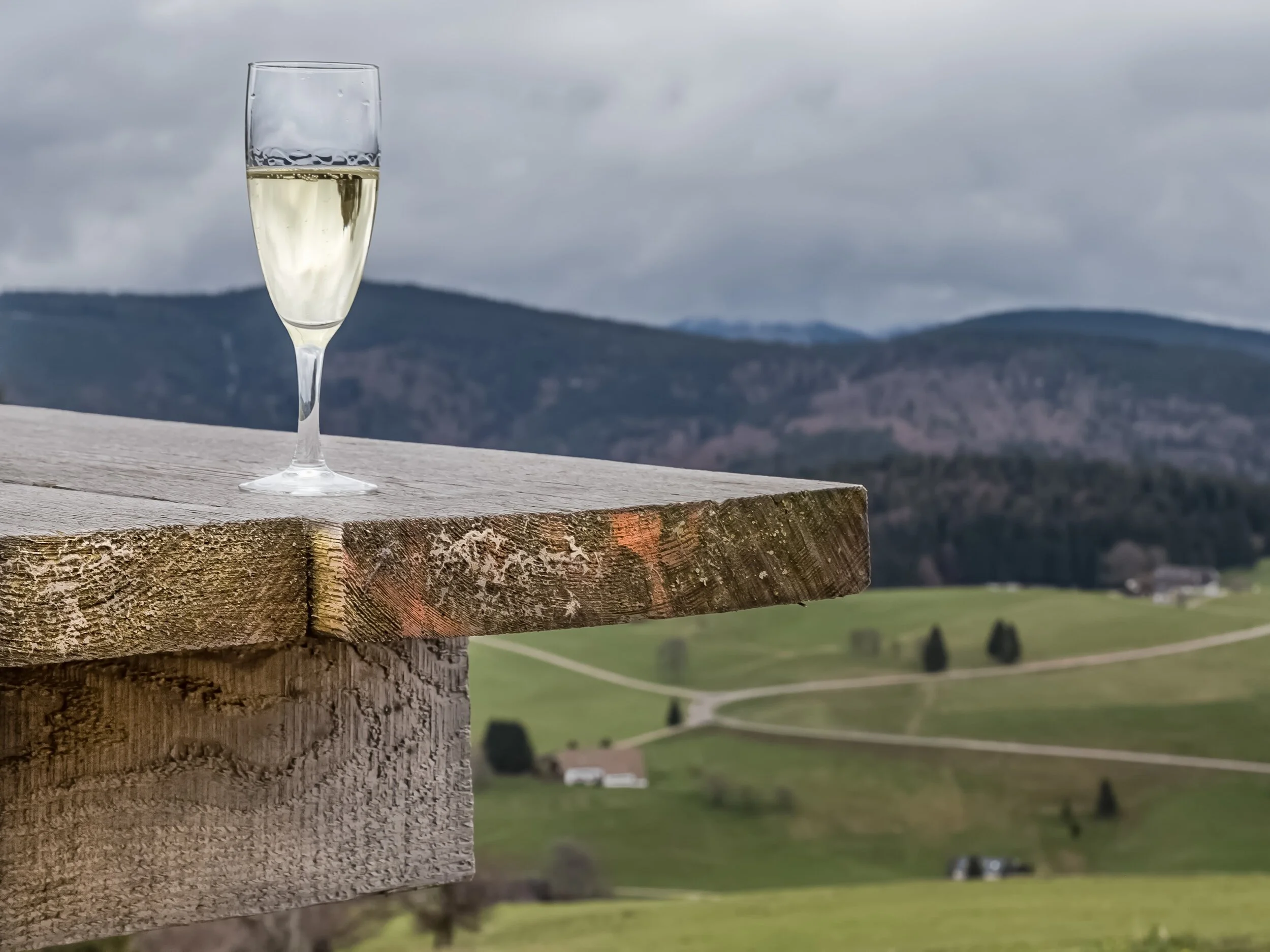 Free Wine Tasting with Monty