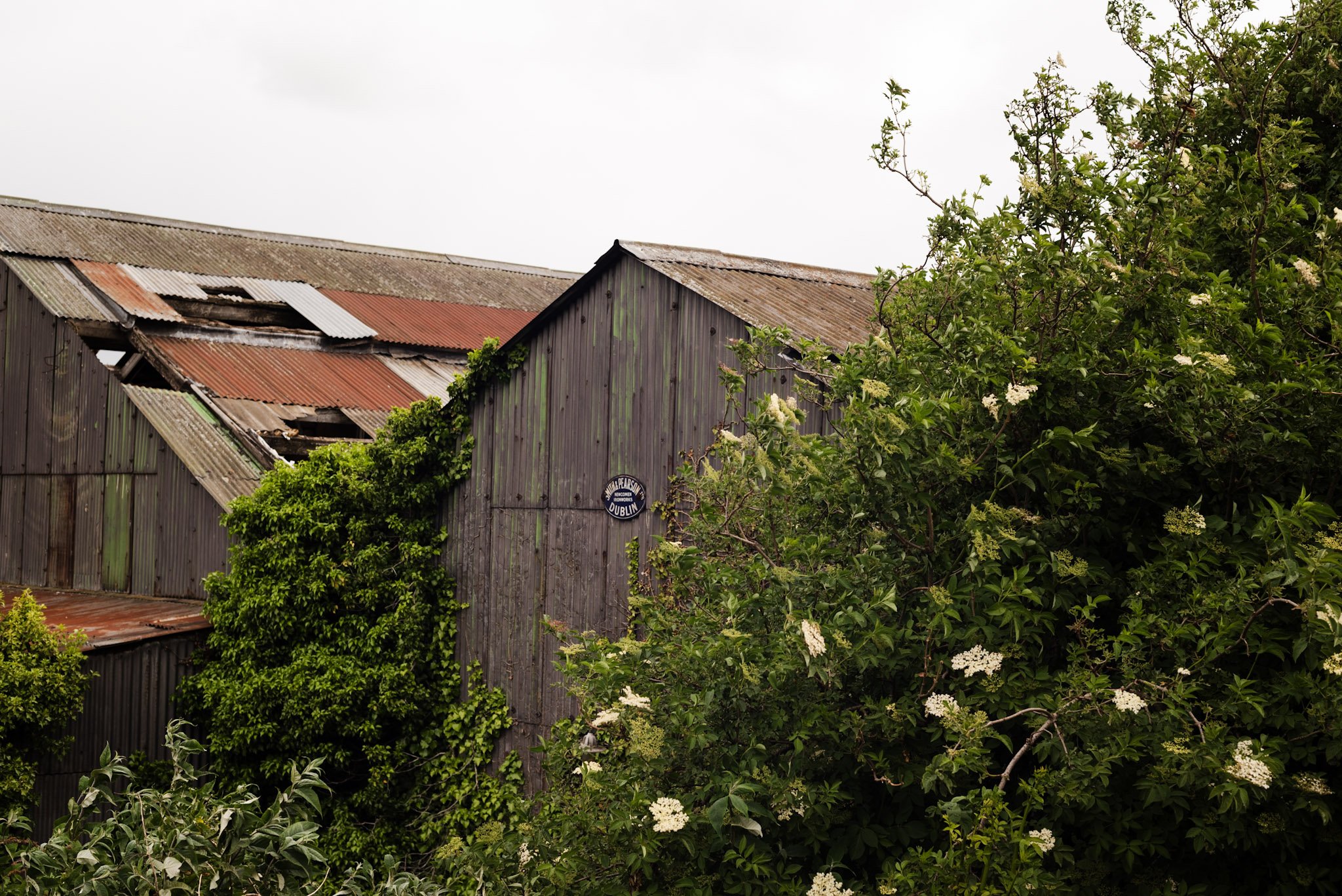 34-DSC_6247.jpg