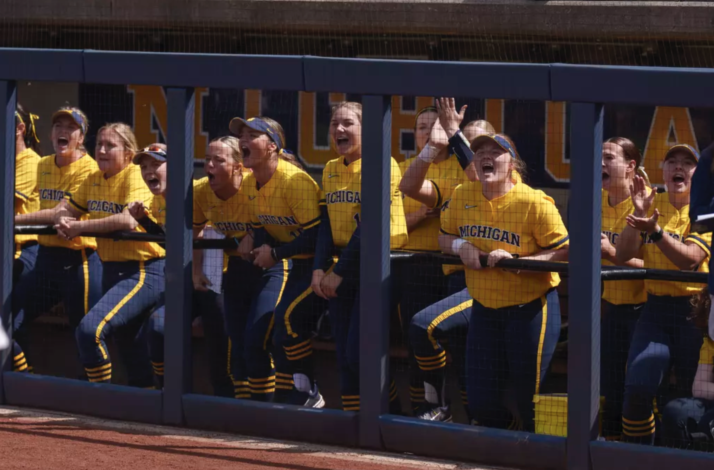 Softball Dugout Fence.png