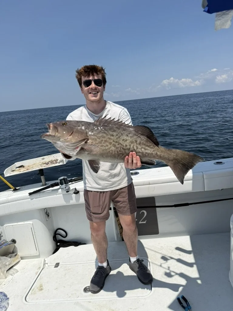 70BFDADF-D213-4C03-934B-A34FD39A03B8_1_105_c.jpeg