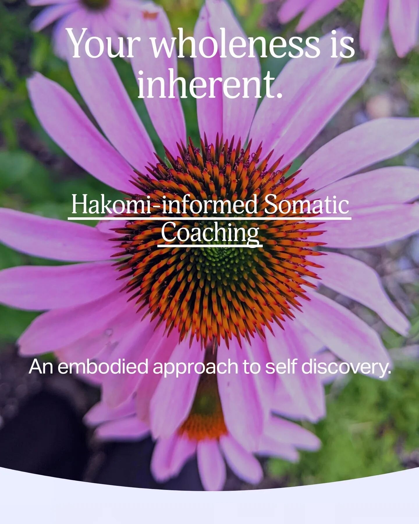 I'm so excited to be sharing this with you all!

Check the Iink in my B!0. 

Early-bird ends on Wednesday, March 27th.

Supporting you to remember the wholeness already inherent within you. 💓

#sensitivity #sensitivityisastrength #spoonies #chronicp